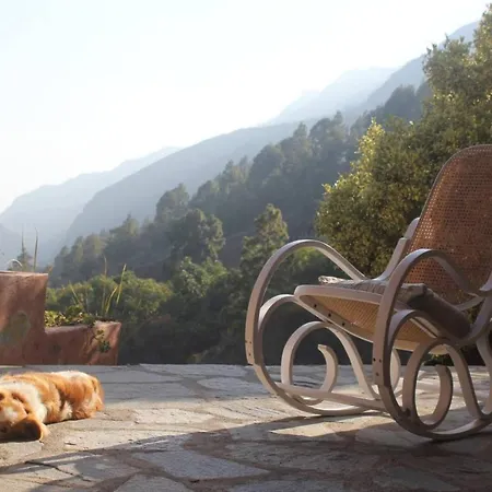 Rivendell Eco El Paso