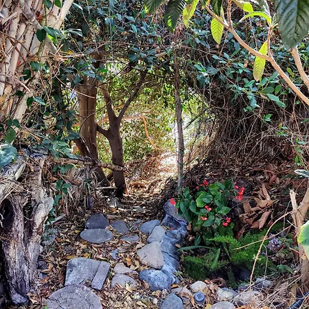 Rivendell Eco Lodge El Paso