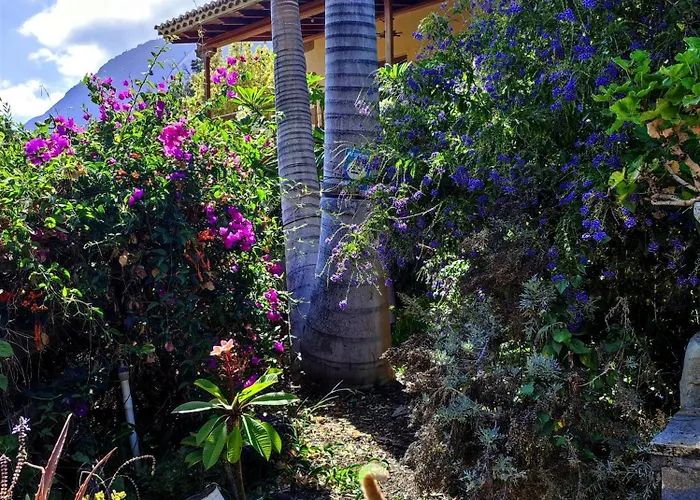 Rivendell Eco Domek letniskowy El Paso