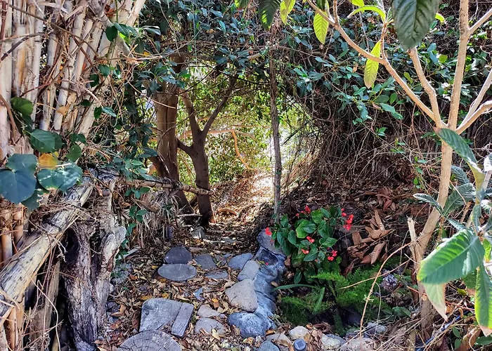 Rivendell Eco Domek letniskowy El Paso
