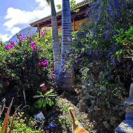 Rivendell Eco Hytte El Paso