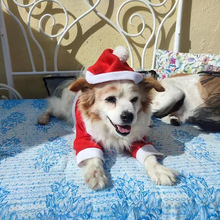 Rivendell Eco Lodge El Paso