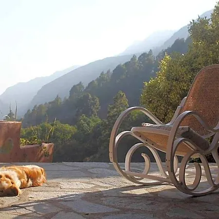 Rivendell Eco 山林小屋 *