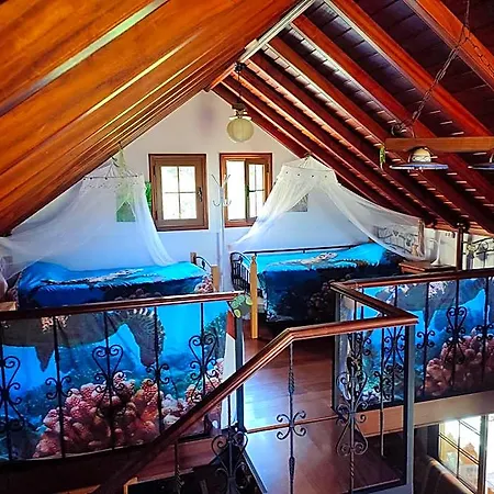 Rivendell Eco El Paso
