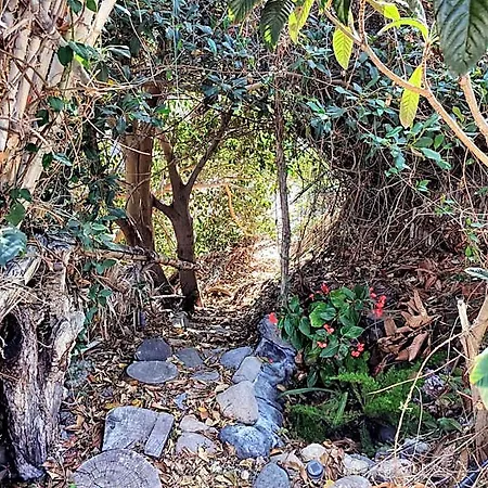 Rivendell Eco El Paso